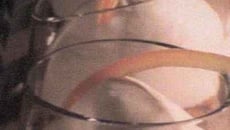 Verrine de nougatine aux agrumes confits