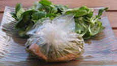 Saumon et oseille en papillote, sauce gasconne à l'oseille