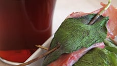 Saltimbocas de bœuf et Bière de Printemps