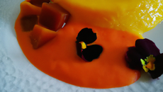 Poêlée de Mangue Sabayon au Coquelicot de Nemours