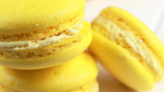 Macarons citrons