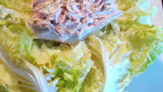 Feuille d'endive à la mousse de thon