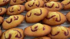 Madeleines sans fleur d'oranger