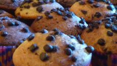 Muffins aux pépites de chocolat maison
