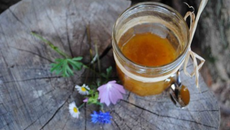 Confiture de mirabelles facile et inratable