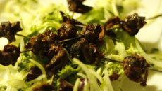 Brochettes d'escargots tandoori