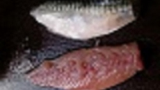 Filets de maquereaux en salade