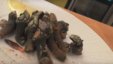 Pouces-pieds au court-bouillon