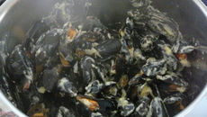 Moules façon Poulette