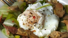 Salade tiède, confit de canard, foie gras et œuf poché