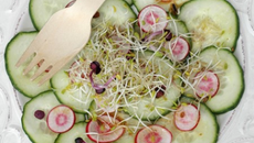 Salade de concombre, radis, vinaigrette à la japonaise et graines germées