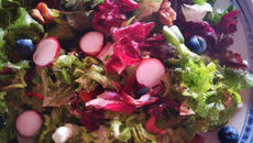 Salade bleu blanc rouge