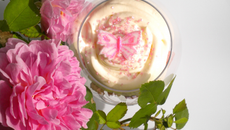 Tiramisu girly façon ispahan