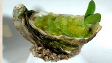 Huîtres Marennes Oléron, kiwi, gingembre et lait de coco