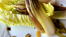Saint marcelin aux endives caramélisé