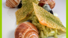 Escargots, risotto thé vert et tuiles parmesan