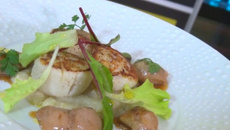 Noix de Saint-Jacques, sot-l'y-laisse et mousseline de topinambours