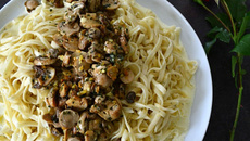 Tagliatelles aux truffes à la forestière