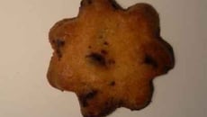 Sablés chocolat-piment _ trompeurs mais ronds et bons