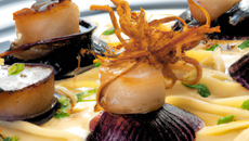 Saint-Jacques flambées à la prune sur tagliatelles et fondue de poireaux