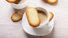 Langues de chat faciles et rapides