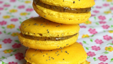 Macarons citron-pavot