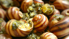 Escargots à la polignac