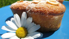 Délices aux nectarines