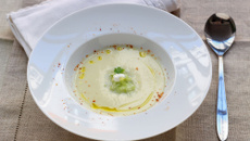 Crème Doria ou crème froide au concombre