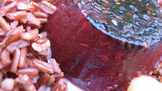 Gelée de betterave au sésame à l'agar-agar