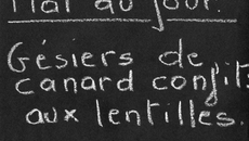 Gésiers de canard confits, salade de lentilles sauce asiatique