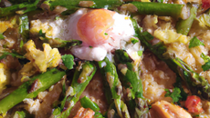 Terre-mer aux vertes asperges, façon paella