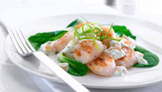 Pétoncles au gingembre doux et au citron vert