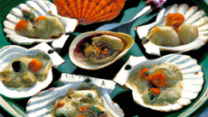 La juliette des sables aux coques de la Baie de Somme et aux passe pierre