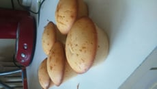 Muffin chocolat blanc tout simplement