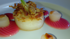 Noix de St-Jacques et Raiton en gelée de Muscadet, coulis d'oignon et rhubarbe
