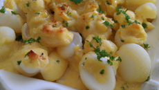coquillettes  à la hollandaise