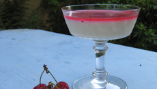 Pana cotta