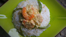 Curry de gambas et poivron vert