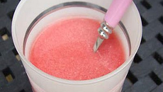 Velouté aux fruits rouges