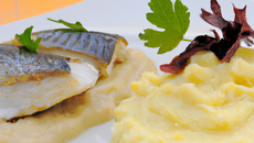 Filets de daurade au lard et purée de patate douce