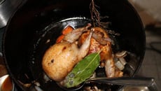 L'automne, la chasse