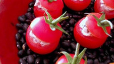 Tomates farcies au chavroux thym et romarin