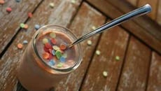 Yaourts crémeux au pralin