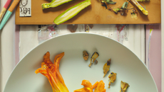 Fleurs de courgettes farcies et frittes