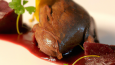 Suprème de colvert de la côte picarde sauce chasseur