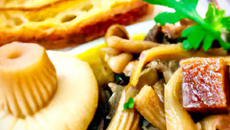 Etagée de tripe Fertoise et saint-jacques