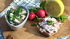 Tartinade de radis