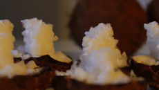 Bouchées à la noix de coco