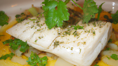 Poisson au vin blanc et à la coriandre